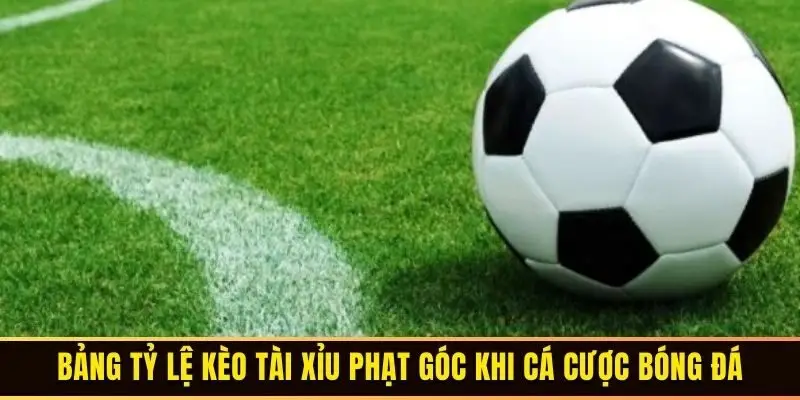 Bảng tỷ lệ kèo tài xỉu phạt góc khi cá cược bóng đá