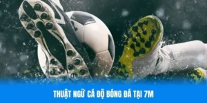 thuật ngữ cá độ bóng đá